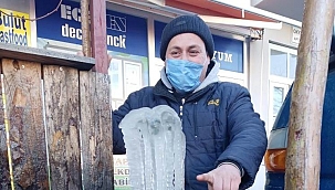 Dikkat zirai don uyarısı