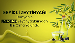Geyikli zeytinyağı dünyanın en kalitelilerinden biri olma yolunda