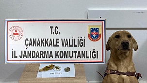 Uyuşturucu operasyonu: 5 gözaltı