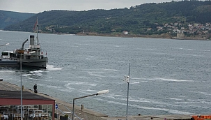 2 gündür etkili olan yağmur, müsilajı kısmen temizledi