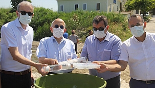 ÇOMÜ’nün ıstakoz yavruları Çanakkale Boğazı’na bırakıldı