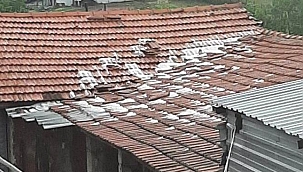Yenice'de dolu tarım ürünlerine zarar verdi
