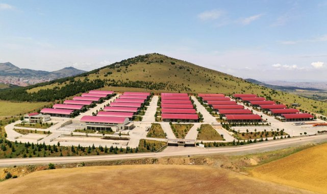 Altındağ'da kurban kesim yerleri belli oldu