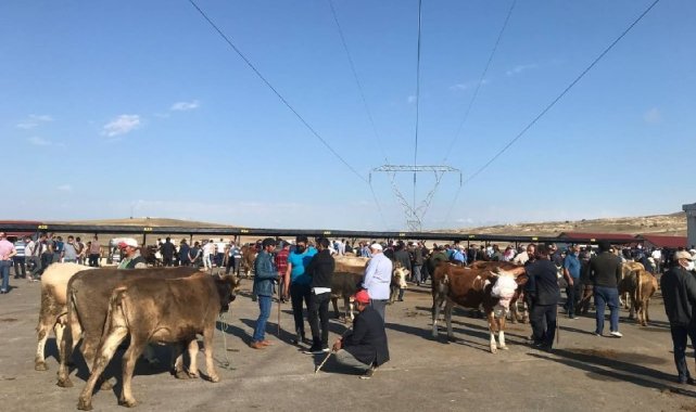 Bayburt'ta kurban pazarında haraketlilik arttı