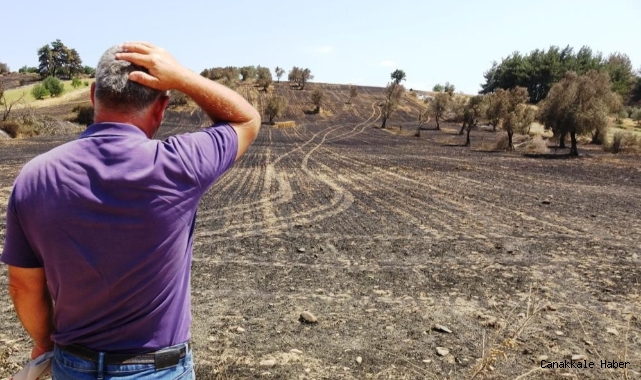 Çanakkale'de ormanlara girişler yasaklandı