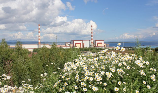 Dünya Nükleer Derneği Raporu: "Küresel sorunların çözümünde doğru adres nükleer enerji"