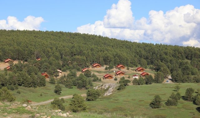 Erzincan'da ormanlık alanlara girişler 15 Eylül'e kadar yasaklandı