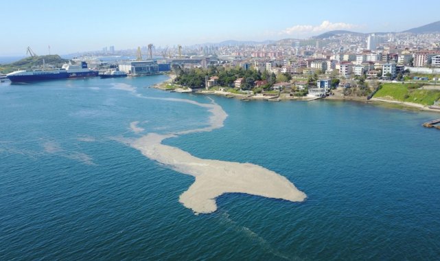 Eski Milletvekili Demirel'den Bakan Kurum'a müsilaj mesajı