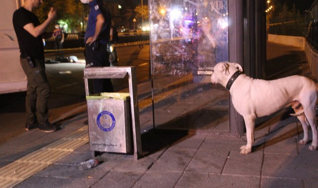 Gaziantep'te sokak ortasında kanlı infaz: 1 ölü