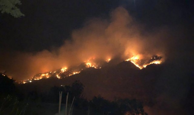 Gazipaşa'da 3 farklı noktada orman yangını
