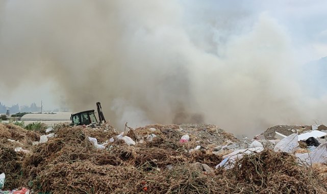 Hatay'da seralara yakın alanda yangın