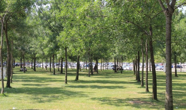 Hissedilen sıcaklığın 40 dereceyi aştığı Kocaeli'de sahiller boş kaldı