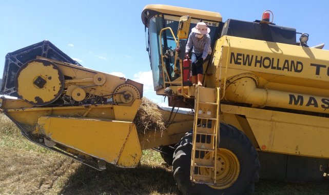 Isparta'da biçerdöverlerin denetimi başladı