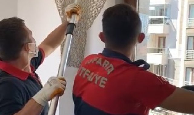 Isparta'da eve giren yarasayı itfaiye çıkardı