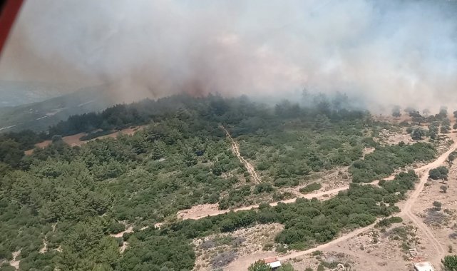İzmir'de makilik alanda çıkan orman yangını kontrol altında