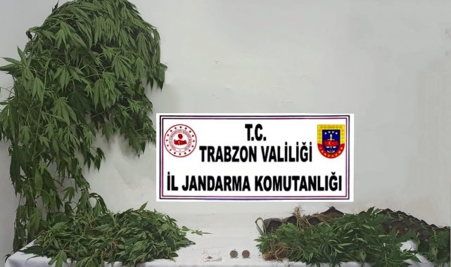 Jandarma uyuşturucu satıcılarına geçit vermiyor