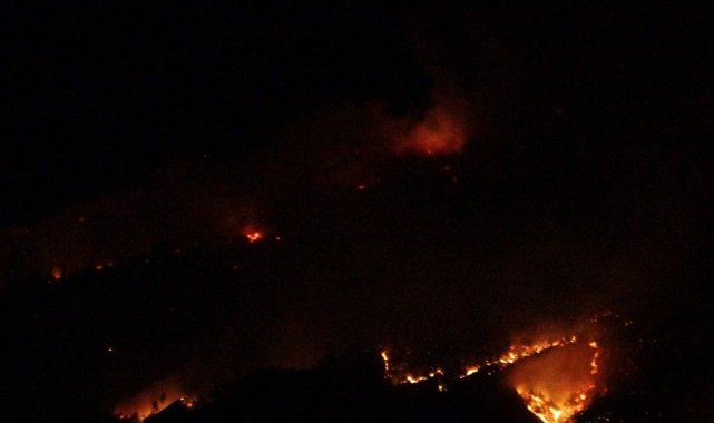 Kozan'daki orman yangıyla ilgili kriz masası oluşturuldu