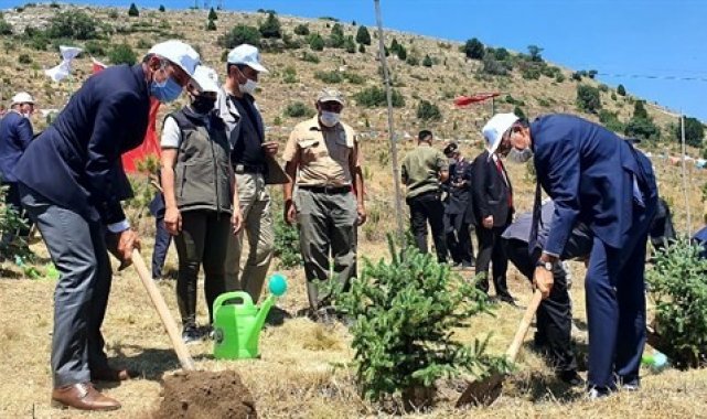Kütahya'da fidan dikimi