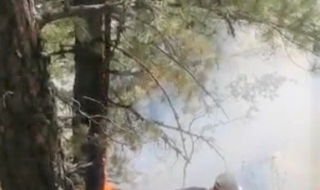 Kütahya'daki orman yangını kontrol altına alındı