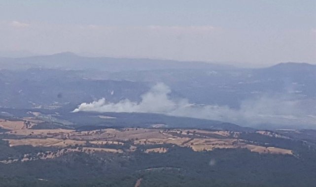 Manisa'da orman yangını kontrol altına alındı