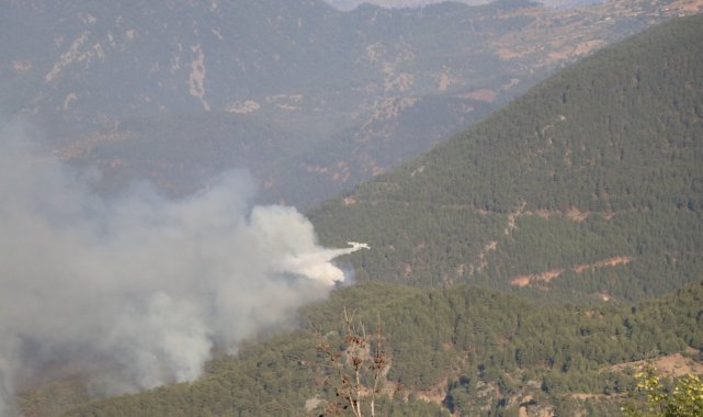 Mersin'deki orman yangını devam ediyor