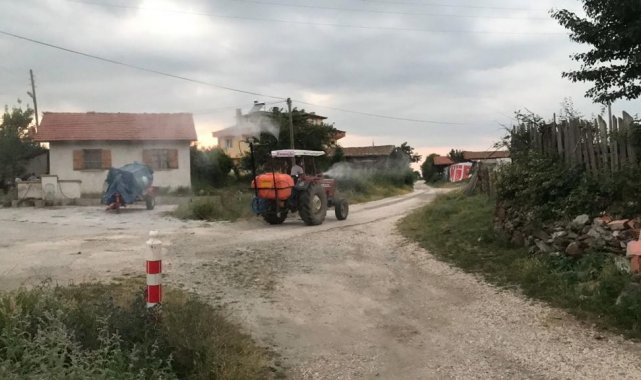 Muhtar köyü sineklere karşı ilaçlıyor