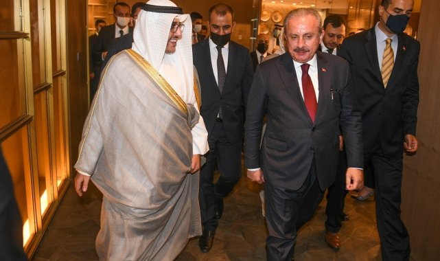 Şentop: "Filistin'in haklılığı konusunda dünyada, İslam ülkeleri dışında da olumlu bir kamuoyu oluştu"