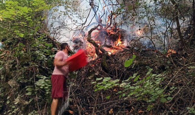 Tabiatın gizli hazinesi 'Turgut Şelalesi' de alevlere teslim oldu