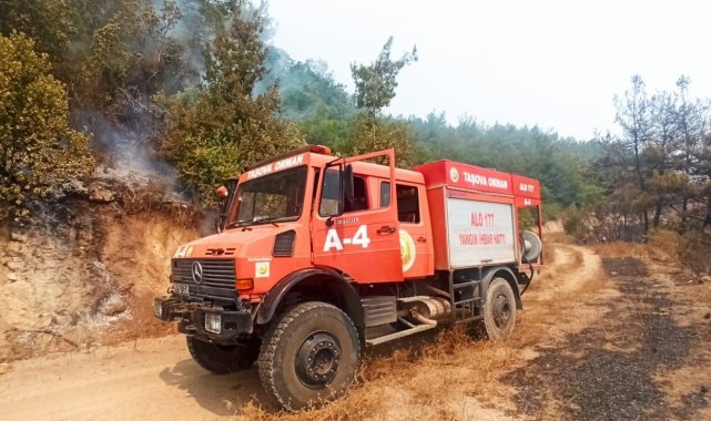 Taşova Orman İşletme Kadirli'de