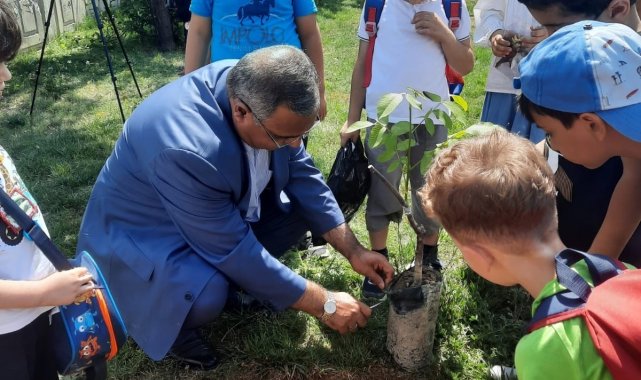 Tatvan'da 15 Temmuz şehitleri anısına 251 fidan dikildi