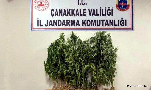 Yenice’de uyuşturucu operasyonu: 1 gözaltı