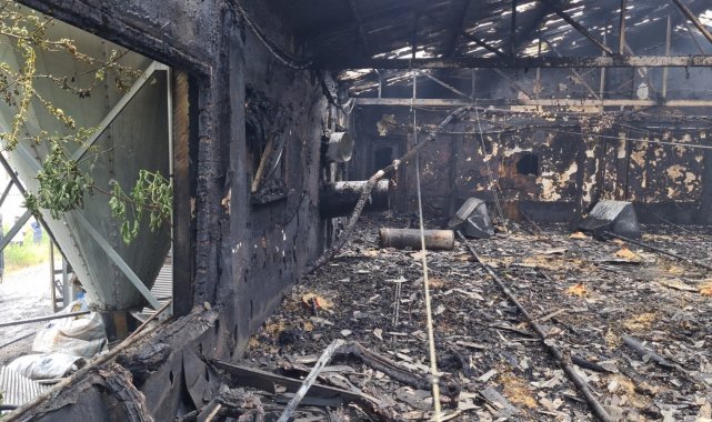 Zonguldak'ta 12 bin hindi yavrusu yangında telef olurken, bir otomobil kullanılamaz hale geldi
