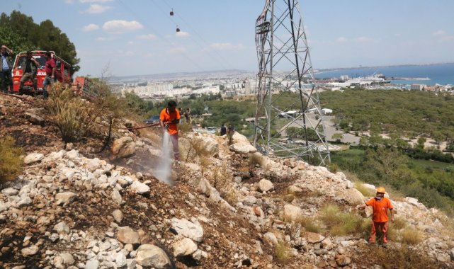 Antalya'da sahile yakın dağlık alanda çıkan yangın ekipleri alarma geçirdi