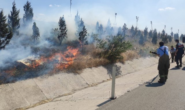 Bandırma'da yol kenarında yangın