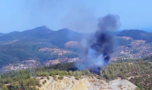 Bodrum'daki yangın büyümeden kontrol altına alındı