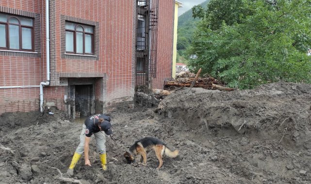 Bozkurt'ta selde kaybolan vatandaşlar kadavra köpekleri ile aranıyor