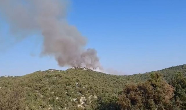 Demre'de de orman yangını çıktı