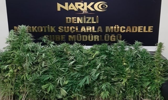 Denizli'de 11 zehir taciri gözaltına alındı