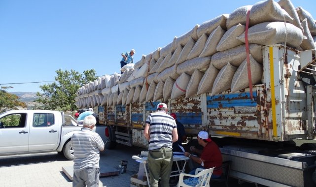 Emet ve Hisarcık'ta haşhaş kapsülü alımları tamamlandı