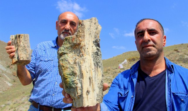 Erzurum'da 160 milyon yıllık keşif