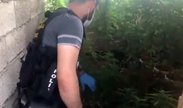 Gaziantep'te huzur operasyonu: 33 tutuklama