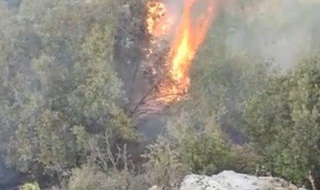 Gaziantep'te orman yangını
