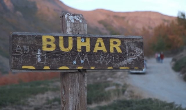 Hastalar Nemrut Dağı'ndaki buhar bacalarında şifa arıyorlar