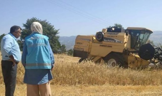 Hisarcık'ta biçerdöver ile hasat kontrolleri