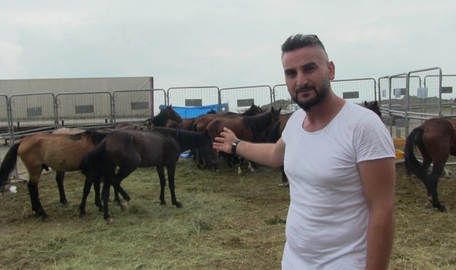 Hopa'da ölüme terk edilen atlar korumaya alındı, sahibine 84 bin 500 lira para cezası kesildi