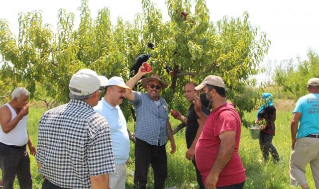 Iğdır İl Tarım Müdürü Yolcu, tarlada çalışan çiftçileri dinledi