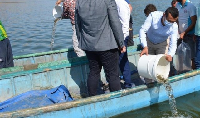 Isparta'da su kaynaklarına 933 bin 720 adet balık bırakıldı