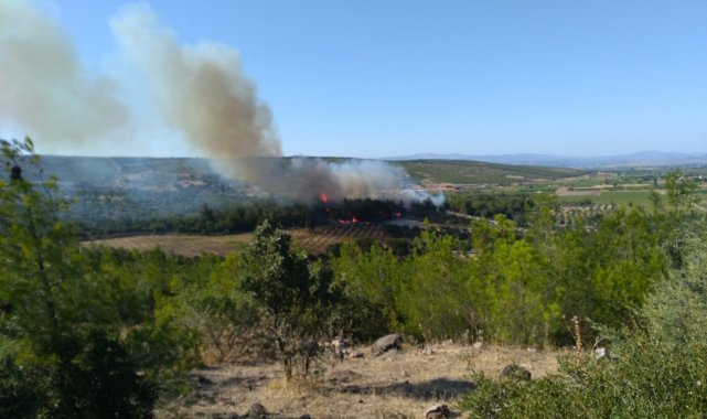 İzmir'de 1 günde 3'üncü yangın