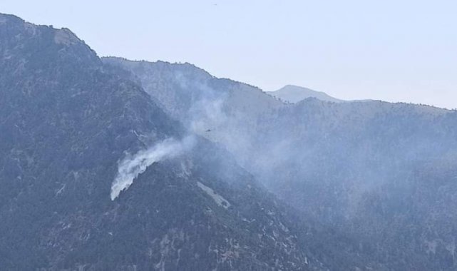 Kahramanmaraş'ta orman yangını