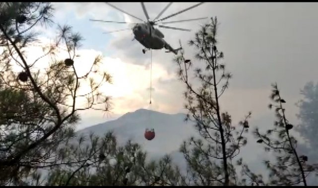 Kahramanmaraş'ta orman yangınında 3 hektar alan zarar gördü